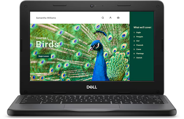 Chromebook 3120 Laptop or 2-in-1