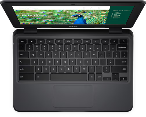 Chromebook 3120 Laptop or 2-in-1