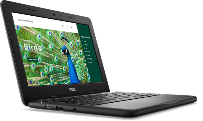 Chromebook 3120 Laptop or 2-in-1