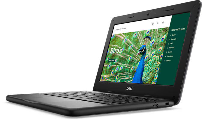 Chromebook 3120 Laptop or 2-in-1